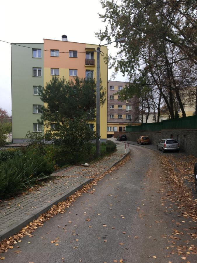 Apartament Saski サンドミエシュ エクステリア 写真