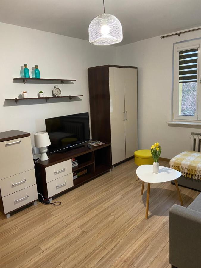 Apartament Saski サンドミエシュ エクステリア 写真